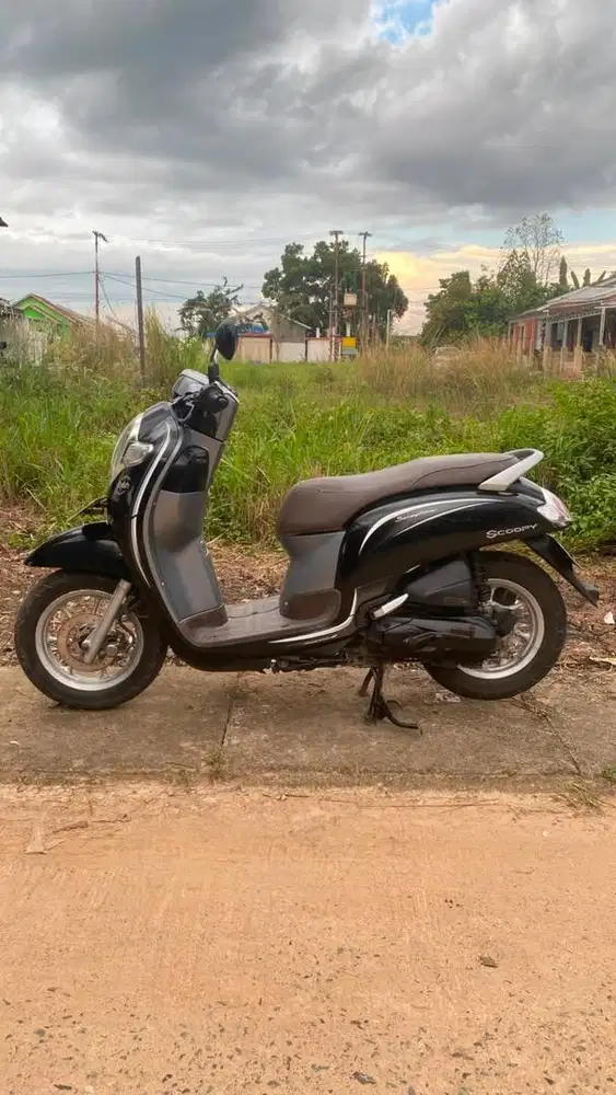 Scoopy 2019 Stylsh