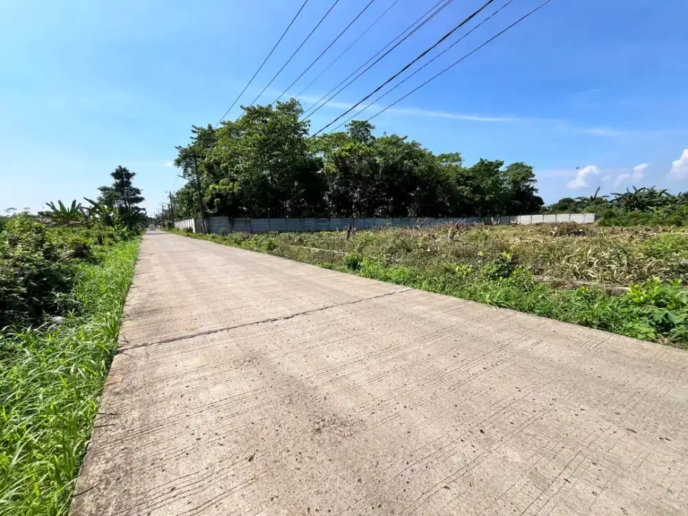 Jual Tanah Kavling Murah di Cisauk - SHM - Strategis Dekat Tol Legok & Stasiun Jatake