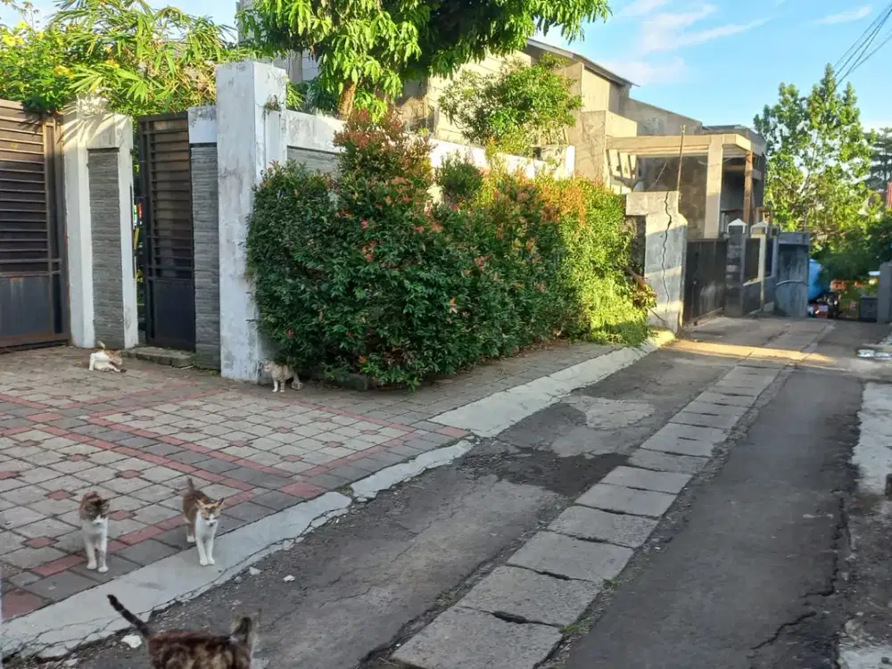 Dijual Tanah Sentul Bogor SHM di Jl Taman Kenari By Rumah Chinida (Rt)