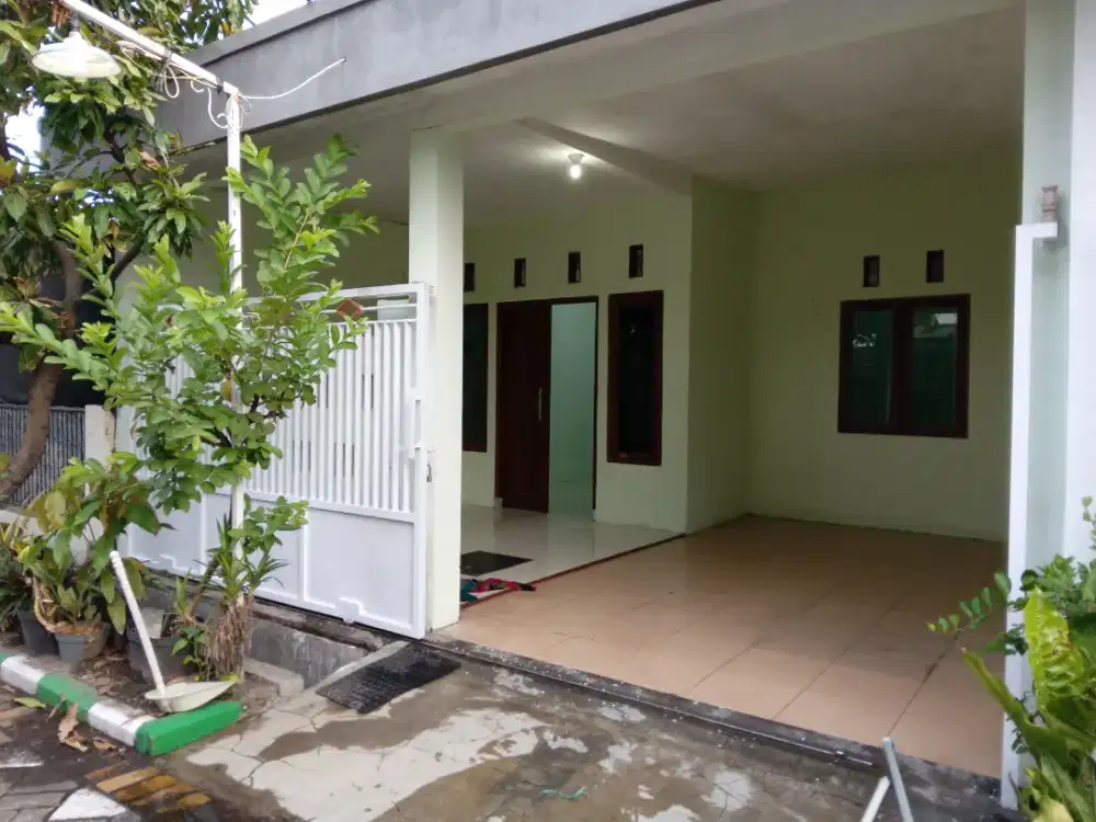 Rumah dikontrakkan