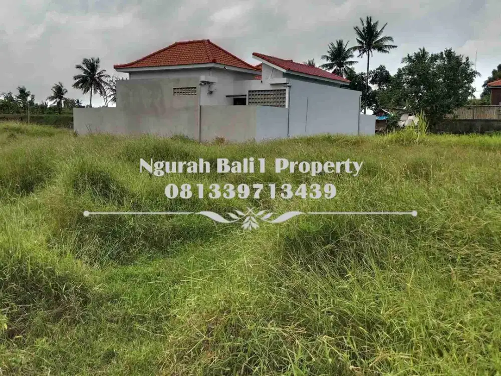 Murah Tanah Disewakan Luas 2,5 Are Kawasan Villa di Ubud