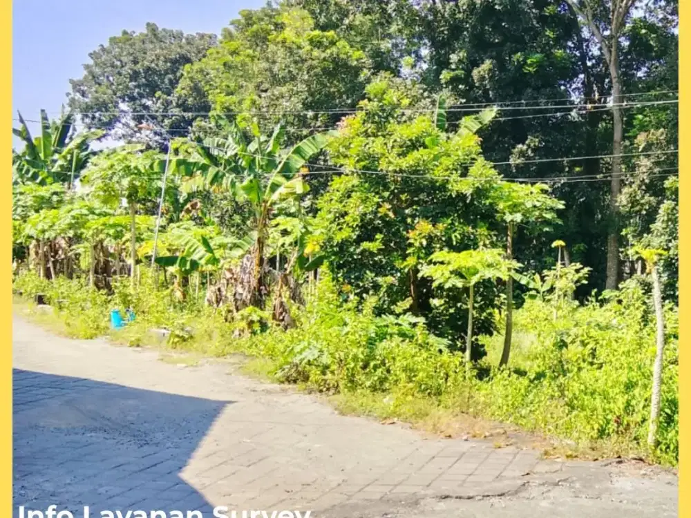 500 Meter Selatan Kampus UII Kaliurang Tanah Jogja Siap Bangun