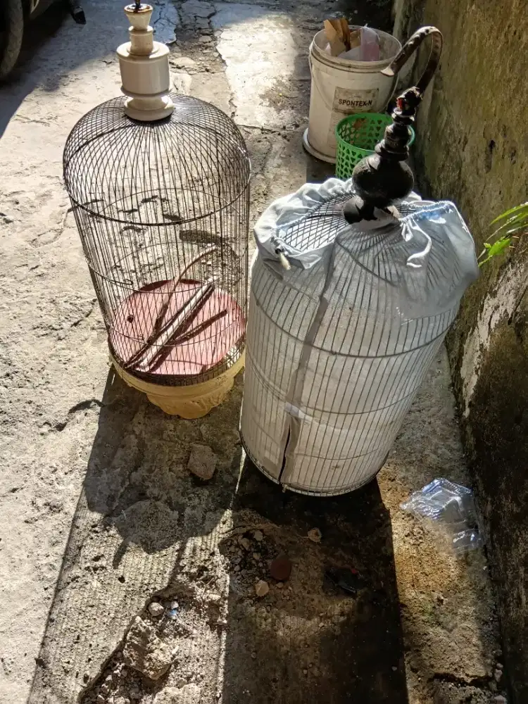 Sangkar bundar atau bulat