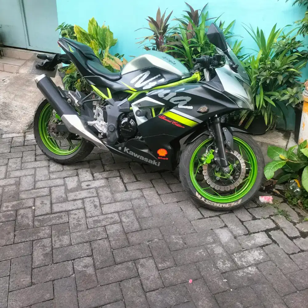 Kawasaki ninja 250R mono 2021