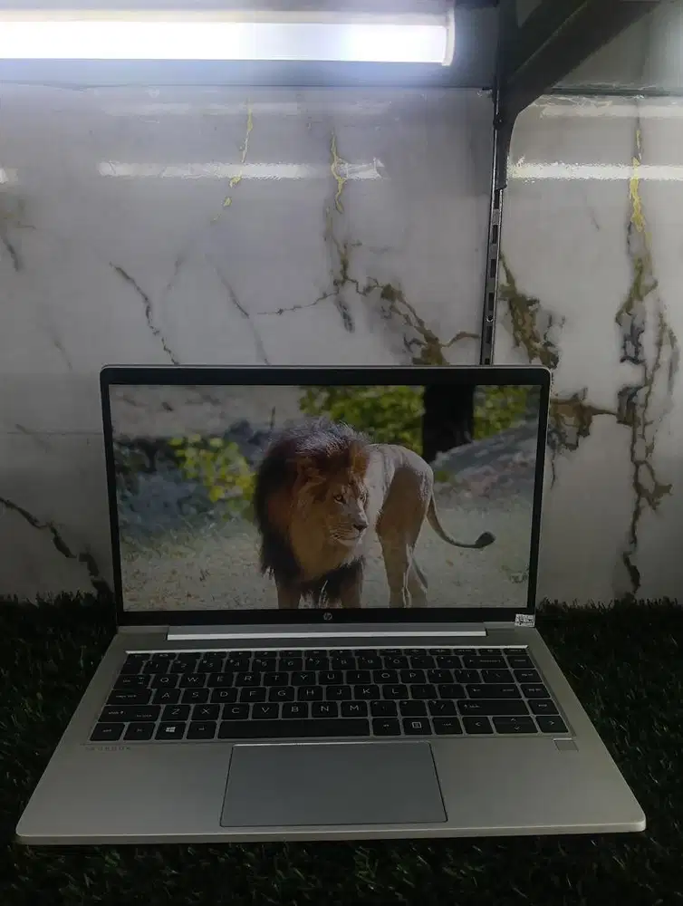 Laptop HP probook 445 G8 ram 8/256gb