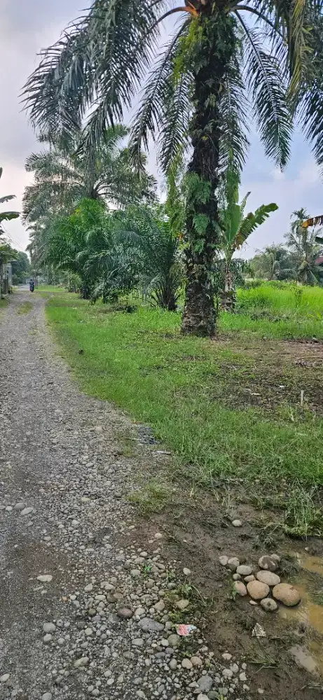 Tanah 9mx15m, Jl. Gunung Bendahara, Lr. Getuk, Gg. Getuk 21