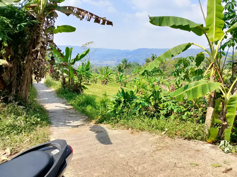 Dijual lahan kebun view bagus