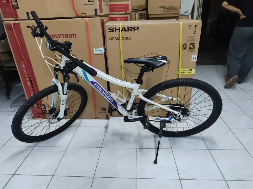 sepeda gunung mtb polygon cleo 2