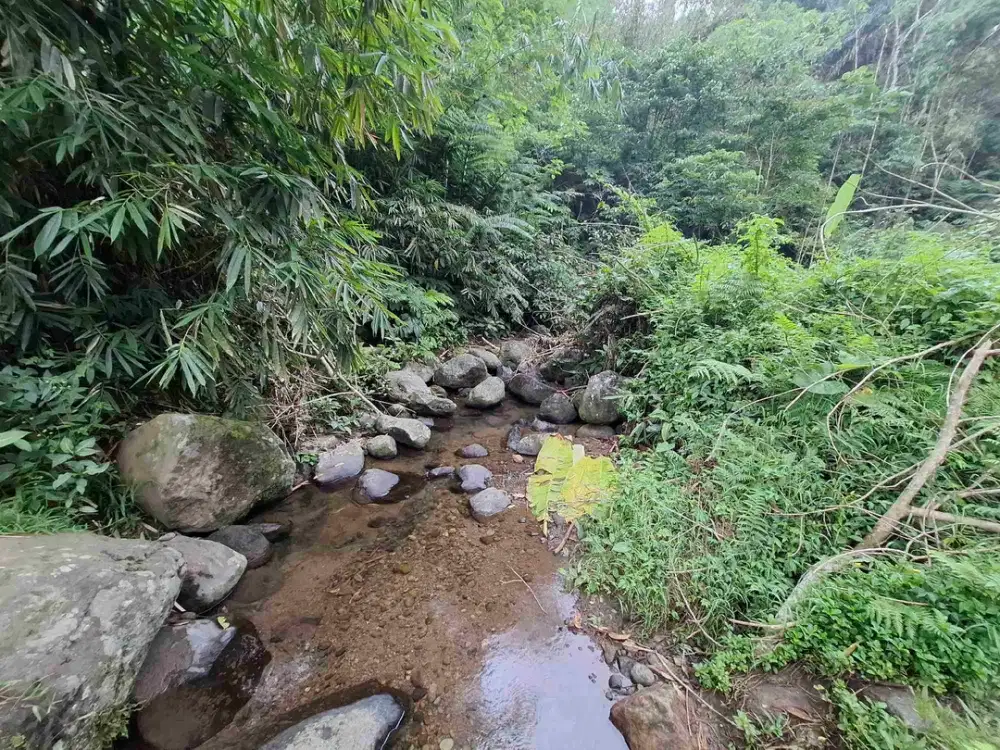 dijual tanah kebun dengan view sawah dan los sungai kecil yang sangat indah dan strategis di ketinggian 600mdpl