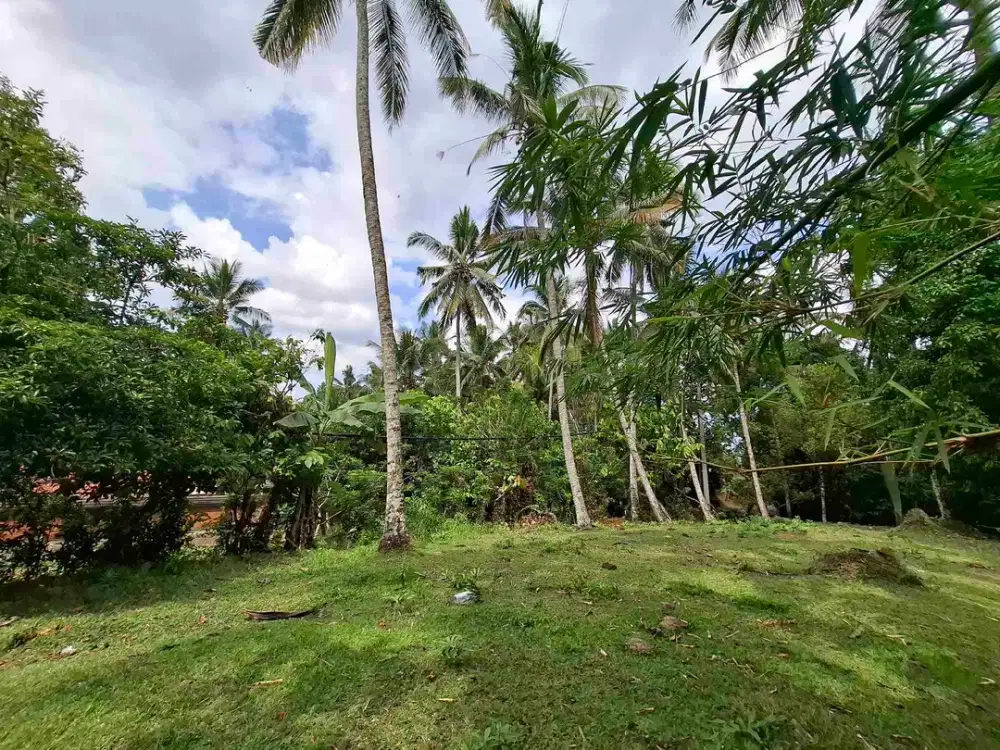 tanah kebun luasan kecil los sungai zona kuning atau zona pemukiman penduduk sudah daerah wisata di tabanan