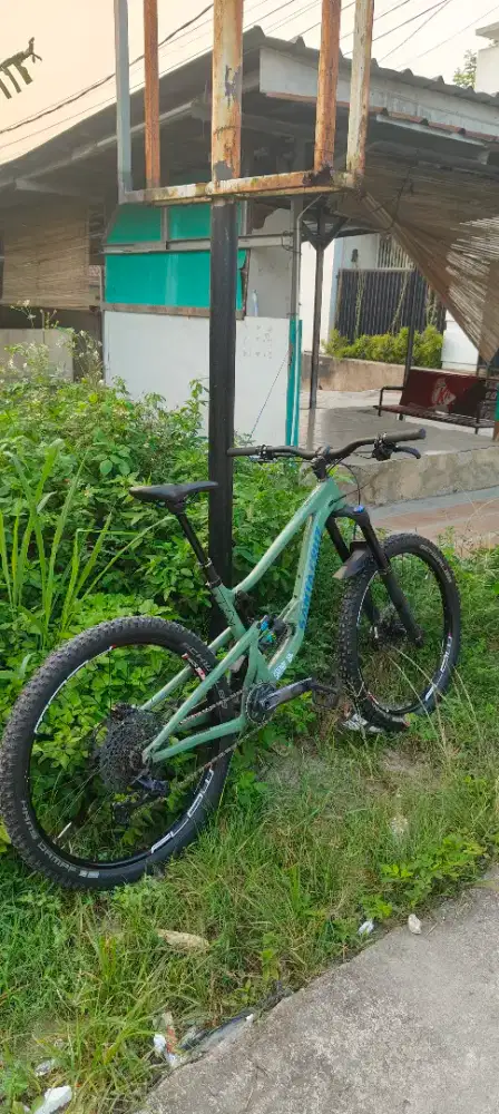 SANTA CRUZ BRONSON MANTAPPP