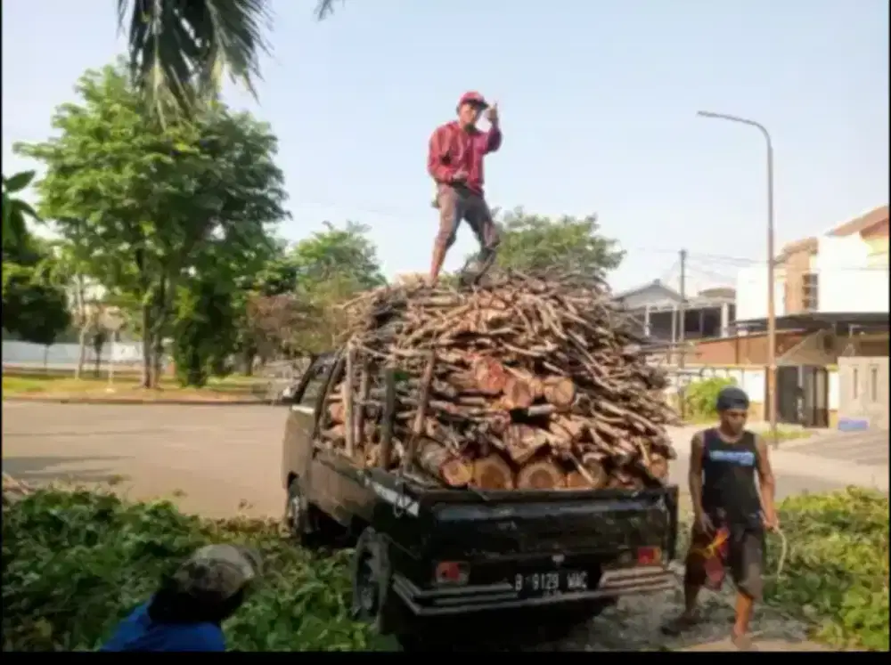 Jasa tebang pohon/potong rumput kota bandung