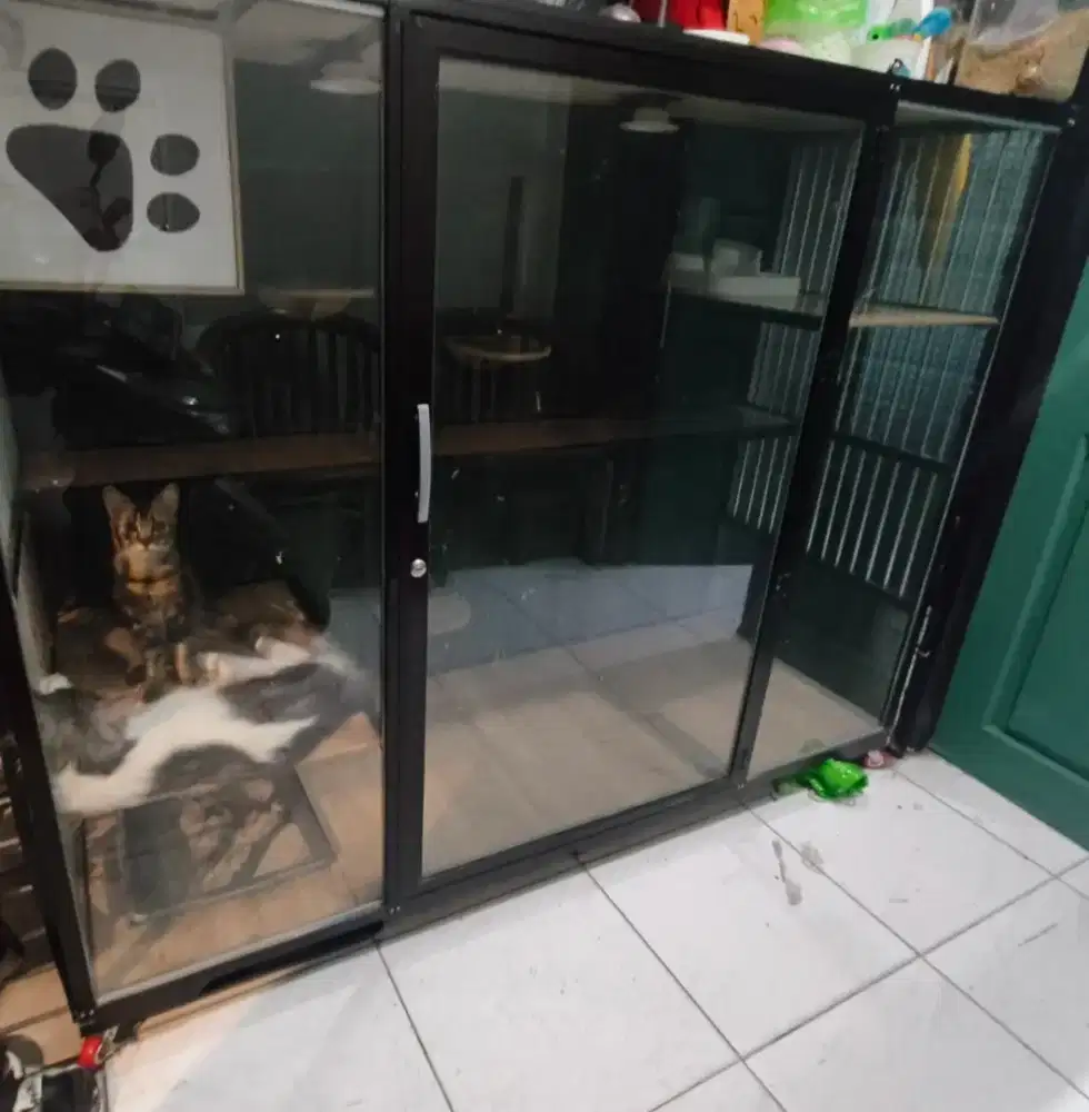 kandang kucing preloved