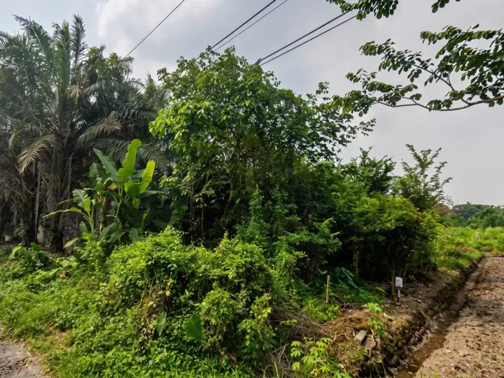 Jual Rumah Jogja Ngaglik Dekat Pasar Rejodani Dan Monjali Area Strategis Sleman
