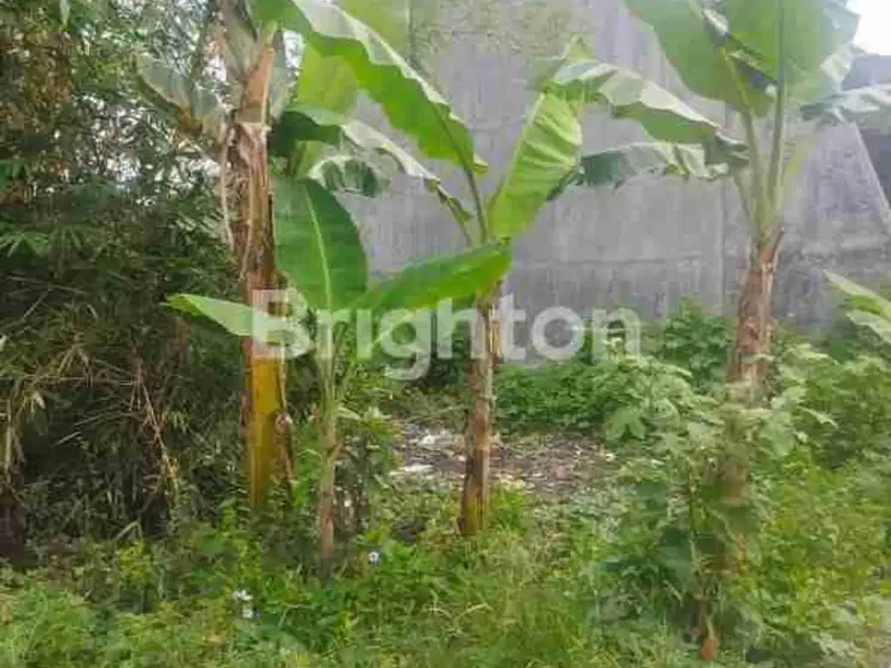 TANAH JALAN KARYA DARMA MEDAN JOHOR