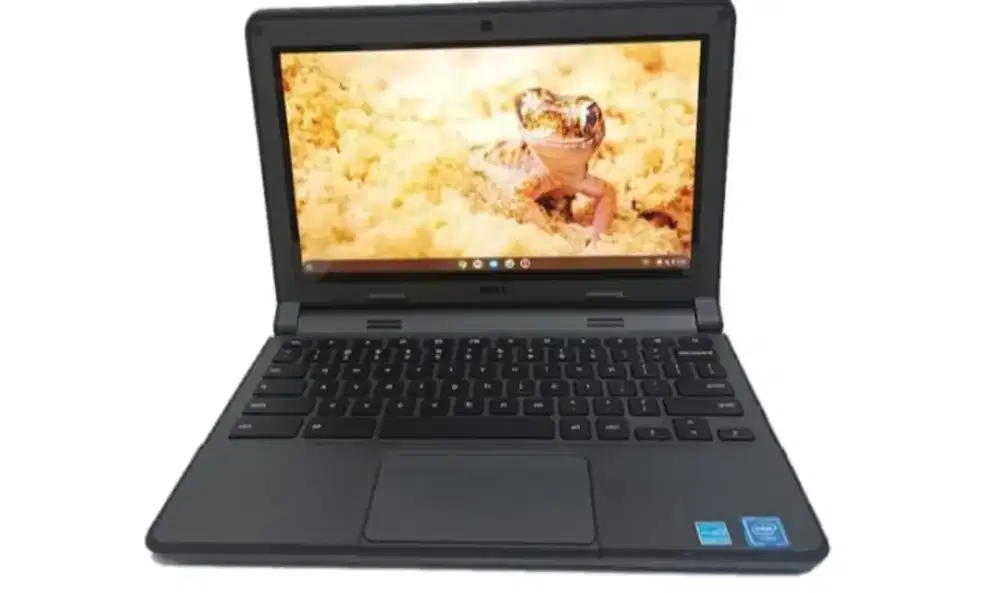 Dell Chromebook 11 3120