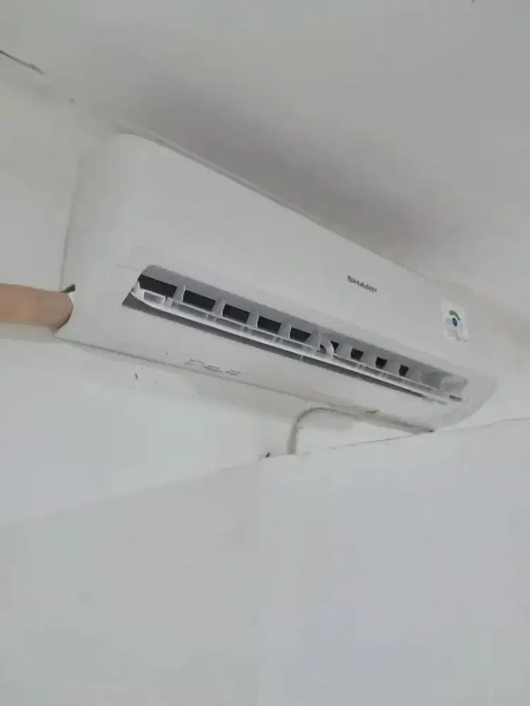 Ac Sharp 1/2 PK