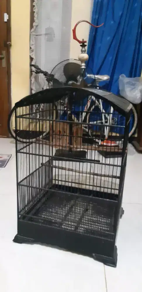 Sangkar kandang burung