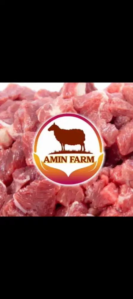 Daging kambing filet tanpa lemak dan tulang