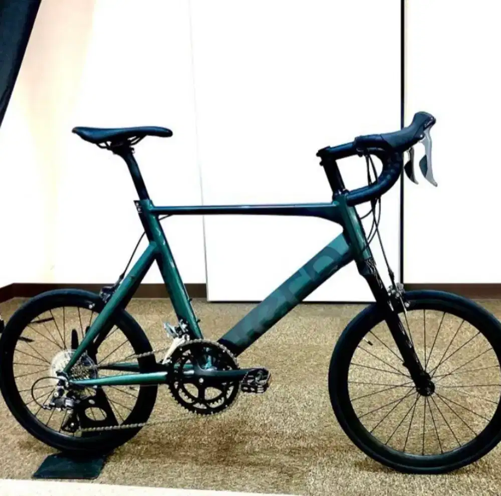 Sepeda Tern surge minivelo