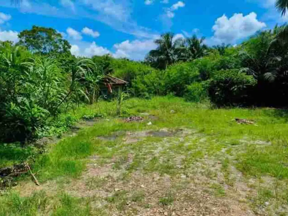 Lahan Komersial 7.102 m² Pinggir Jalan Raya