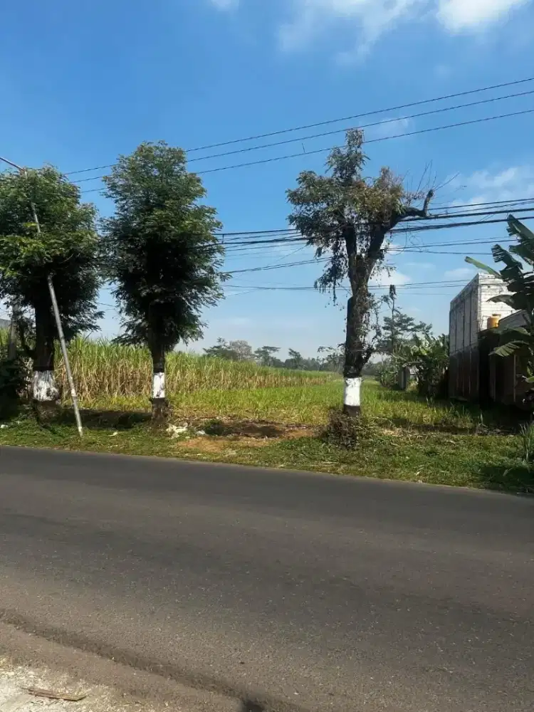 HANYA 1 JUTAAN PERMETER LAHAN LUAS MALANG JAWA TIMUR SIAP BANGUN