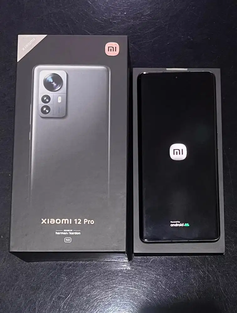 Xiaomi 12 Pro 12/256GB Gray Abu Second