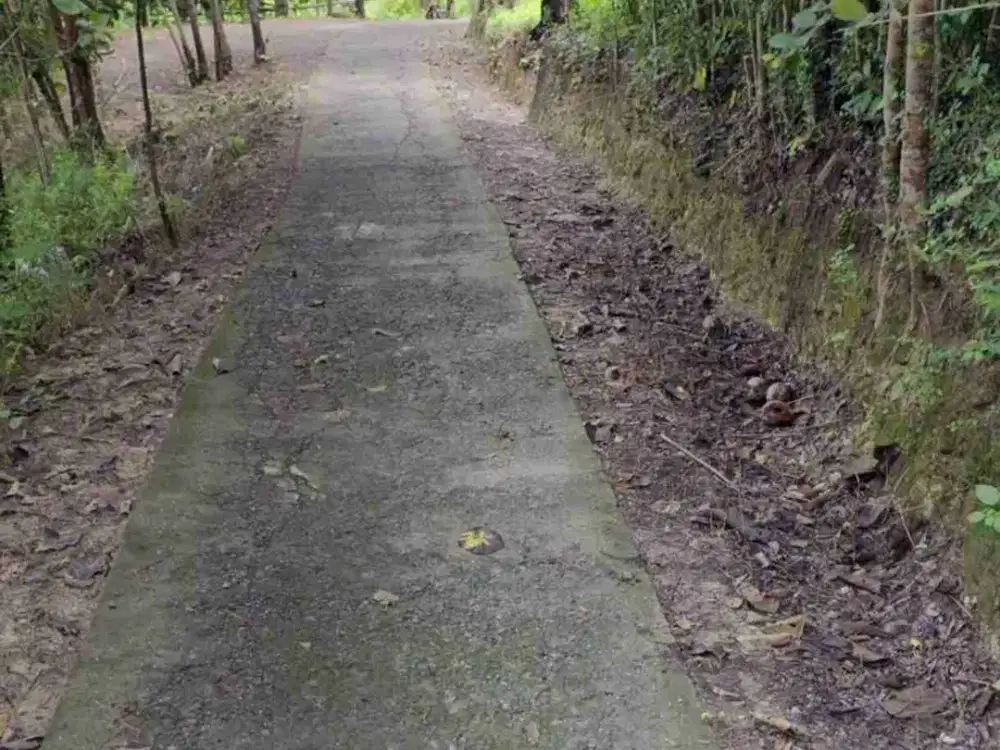 Tanah Dijual 1 Hektar dekat pasar Clereng , Pengasih, Kulon Progo