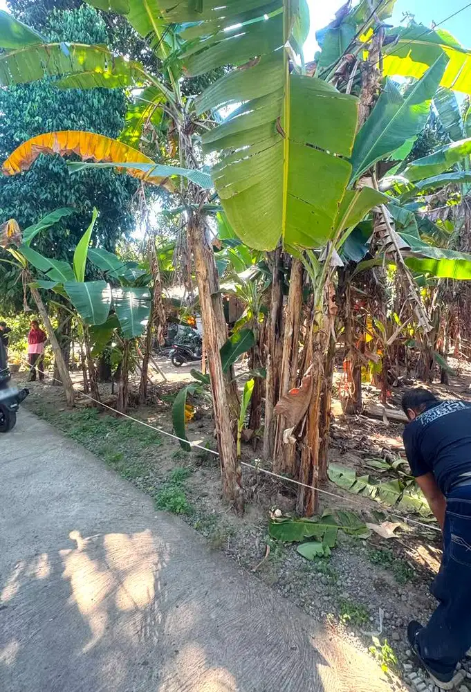 Tanah Pekarangan dekat RSUD Panembahan Senopati Bantul