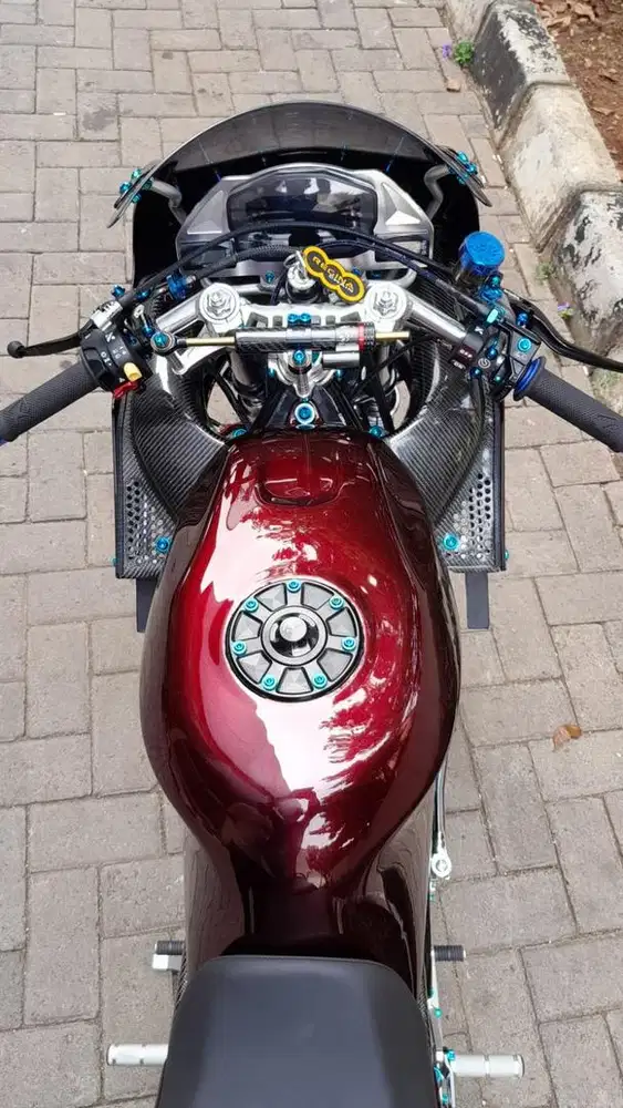 Kawasaki Ninja RR
