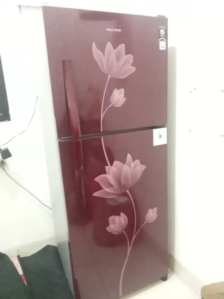 Kulkas Polytron 2 Pintu