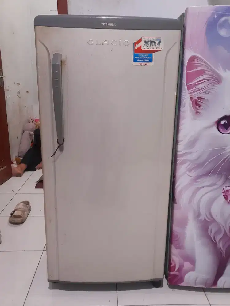 Kulkas 1 Pintu Toshiba