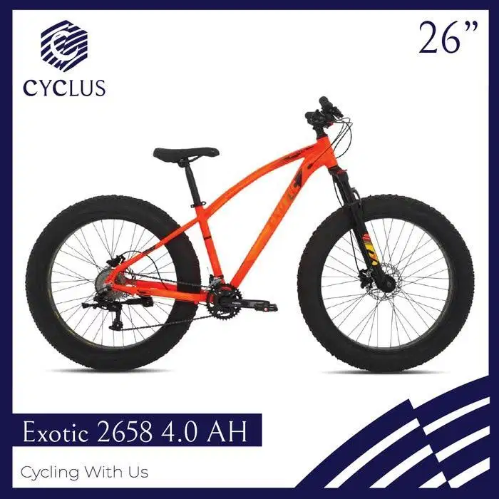 WTS FAT BIKE EXOTIC NEW