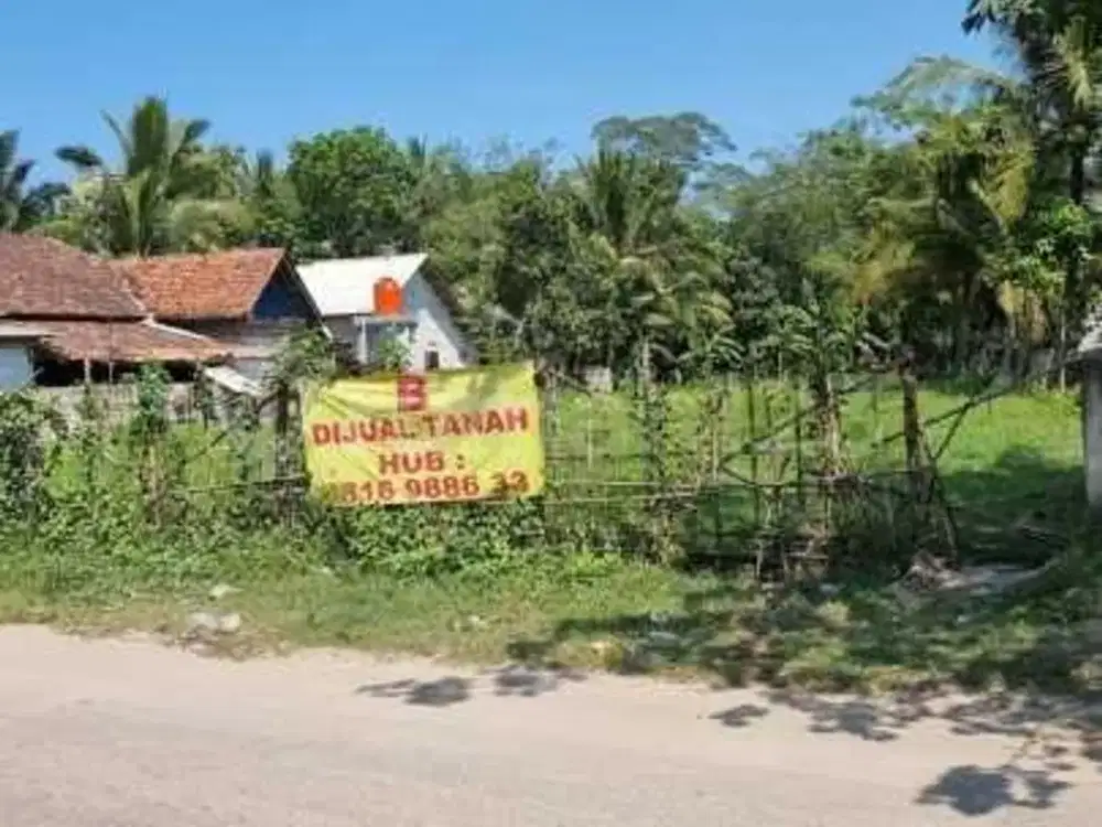 Dijual Cepat Beberapa Bidang Tanah di Maja, Tangerang