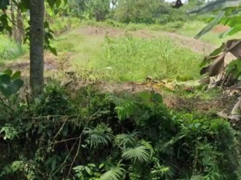 Dijual Tanah Luas Bagus di Ciseeng Parung Jawa Barat