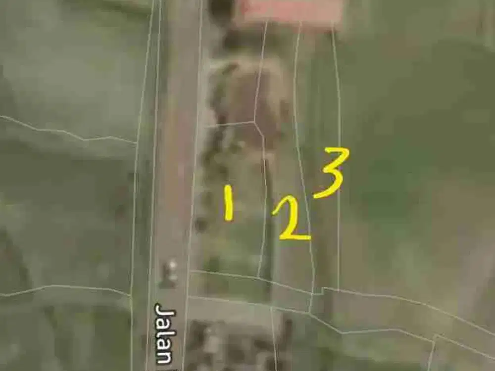 Tanah Pinggir Jalan Raya Sebali Ubud Full View Sawah - Thumbnail 2