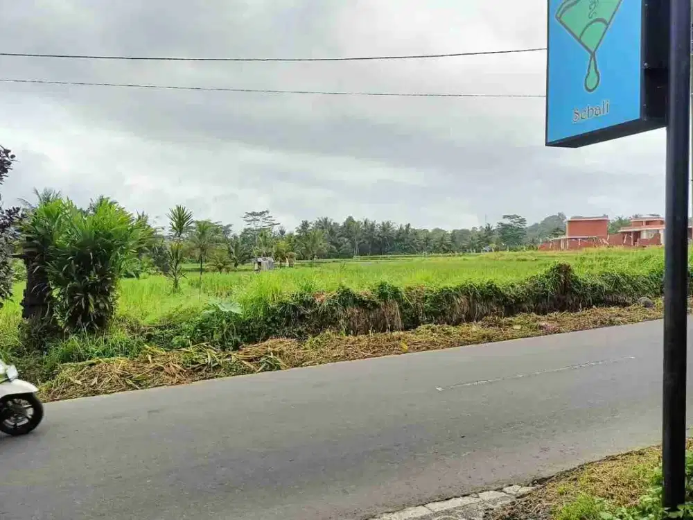Tanah Pinggir Jalan Raya Sebali Ubud Full View Sawah - Thumbnail 3