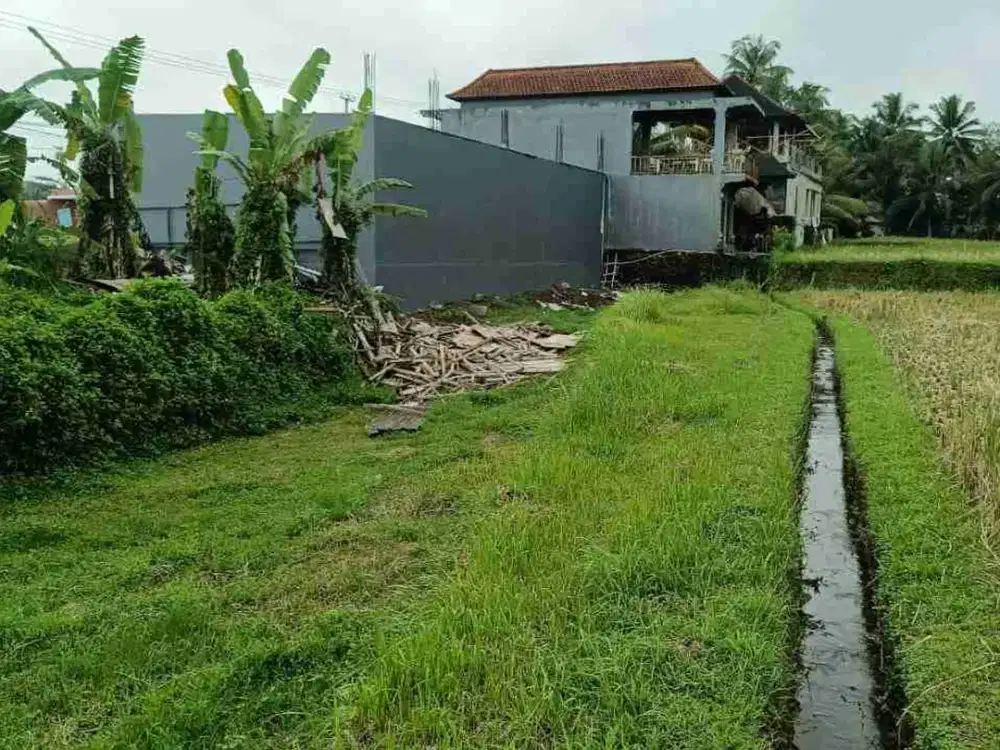 Tanah Pinggir Jalan Raya Sebali Ubud Full View Sawah - Thumbnail 4