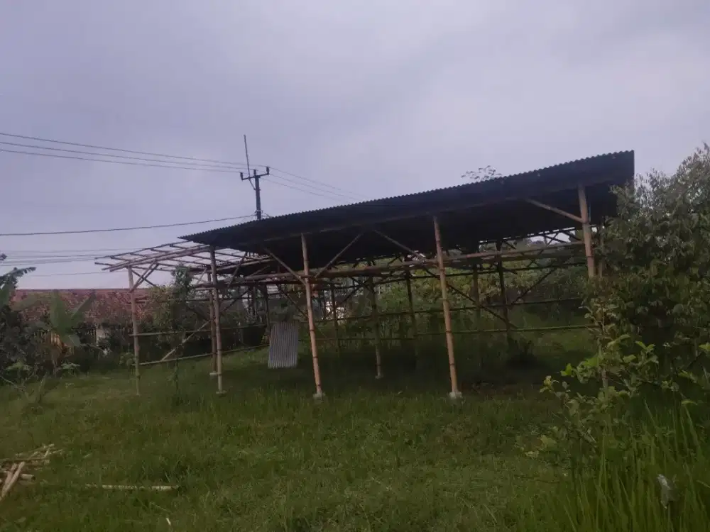 Assalamu'alaikum di sewakan tanah berikut saung nya.