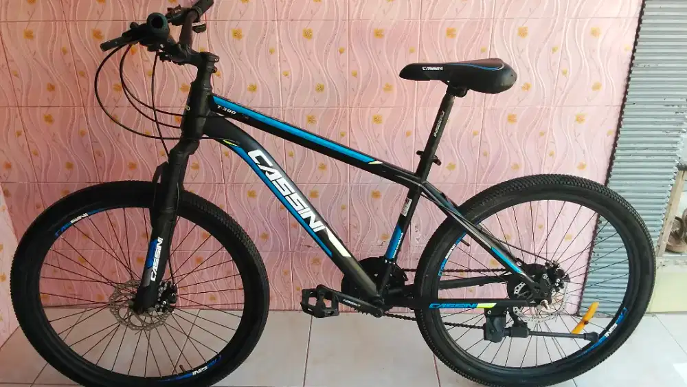 Mtb cassini ukuran 26 mulus