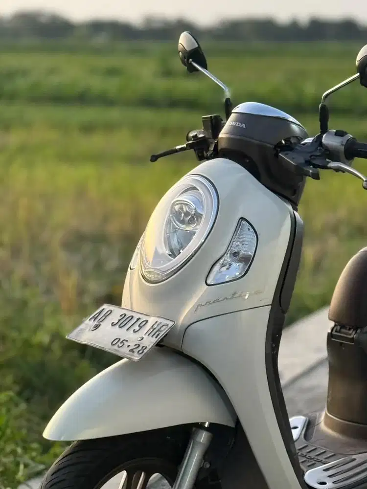 Honda scoopy 2023 ab josss