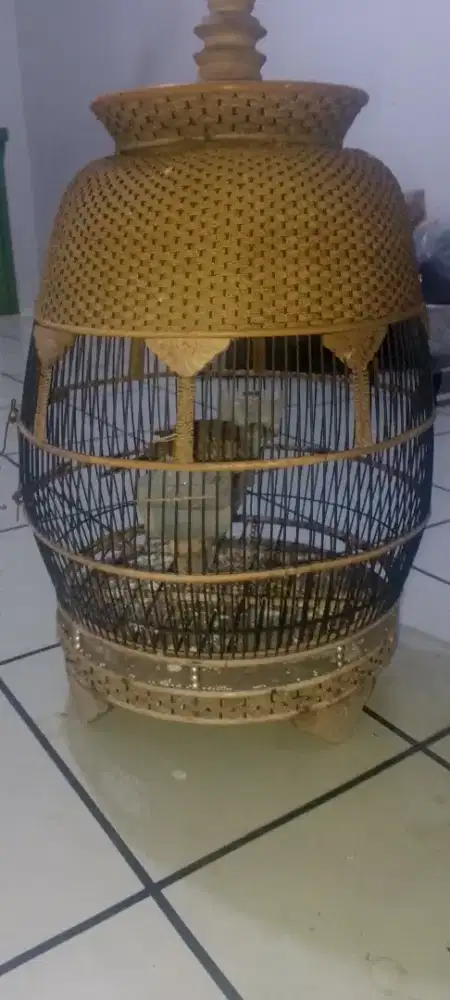 Berkutut lokal alam semesta