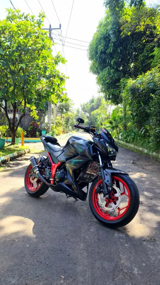 Kawasaki Z 250 FI 2013