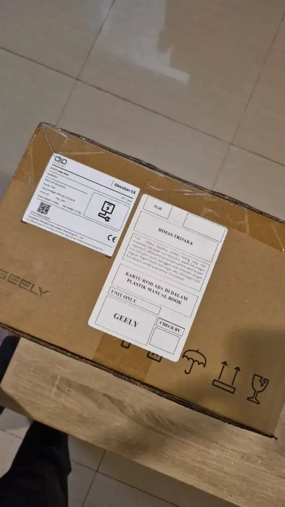 Wall Charger Obsidian EV Geely