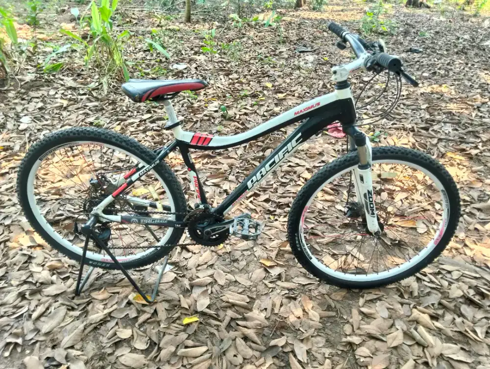 Jual mtb pacific maximus UK 26 in alloy