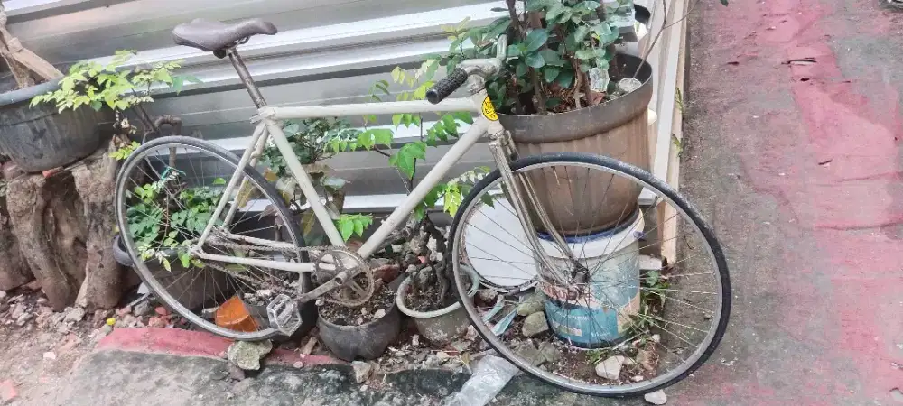Sepeda fixie frame clasic balap velg araya rawabelong jakbar