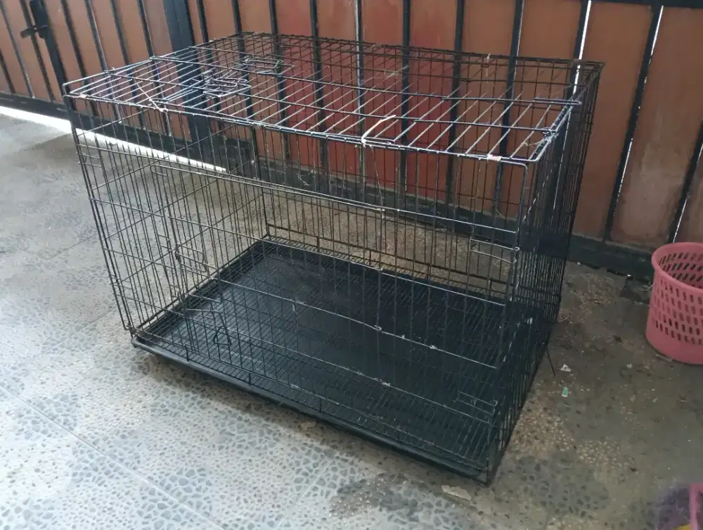 Kandang Kucing besar