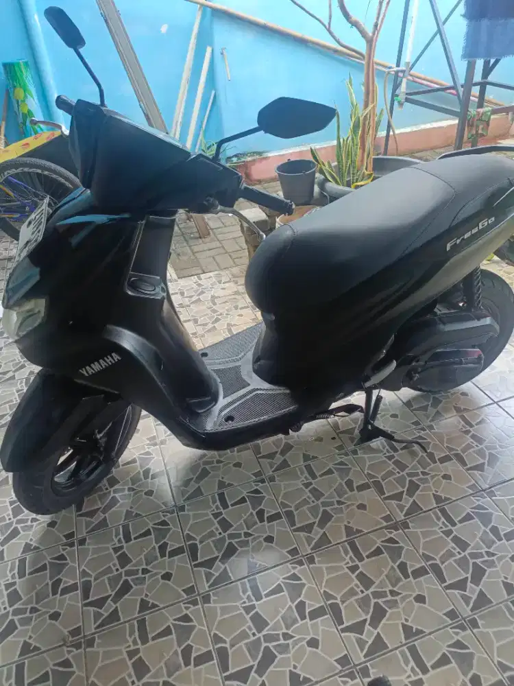 Fregoo 2019 mulus