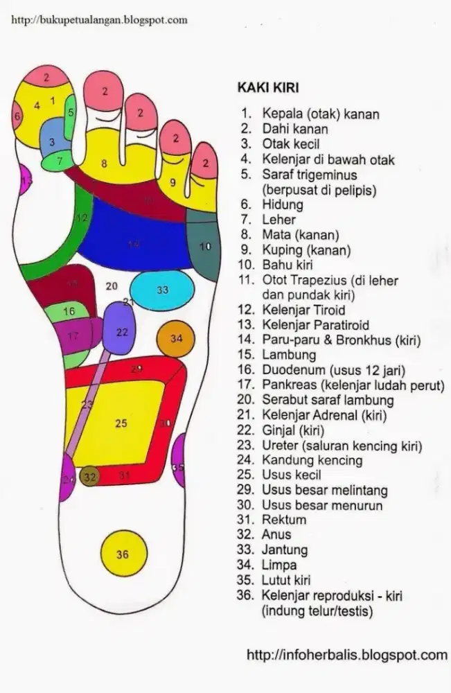 Dibutuhkan terapis pijat refleksi