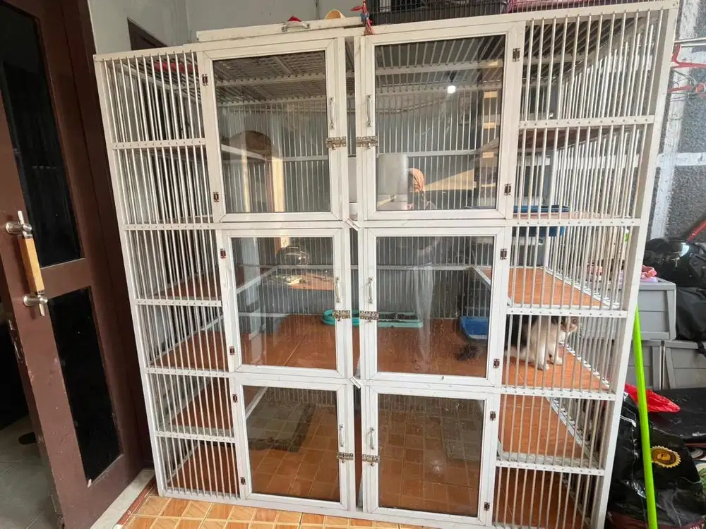 Jual kandang kucing include kucing 3, wadah pasir, makan all in.